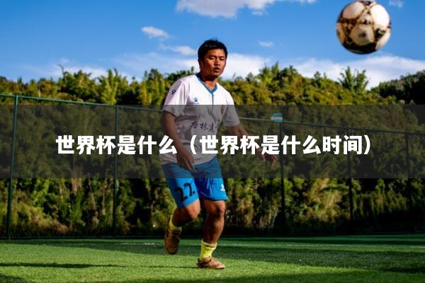 世界杯是什么（世界杯是什么时间）