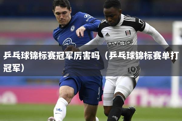 乒乓球锦标赛冠军厉害吗（乒乓球锦标赛单打冠军）