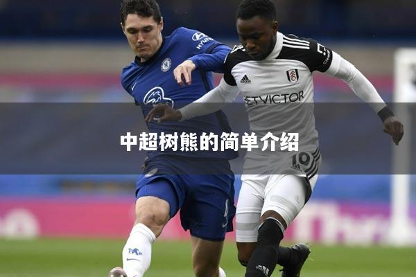 中超树熊的简单介绍