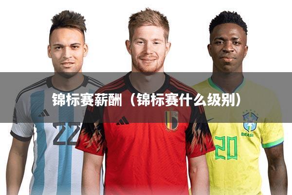 锦标赛薪酬(锦标赛什么级别)