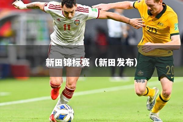 新田锦标赛(新田发布)