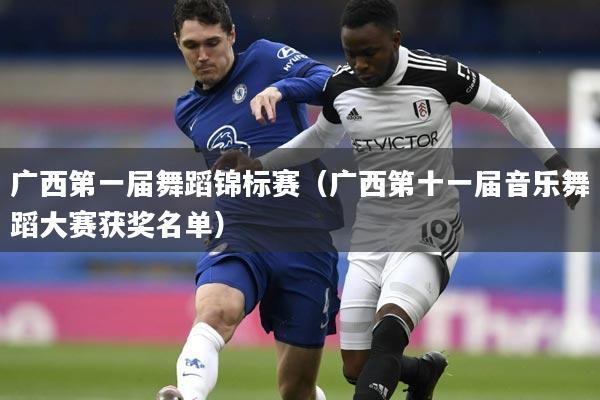 广西第一届舞蹈锦标赛(广西第十一届音乐舞蹈大赛获奖名单)