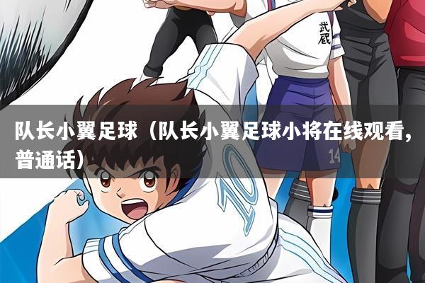 队长小翼足球(队长小翼足球小将在线观看,普通话)