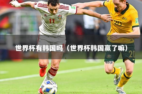 世界杯有韩国吗(世界杯韩国赢了嘛)