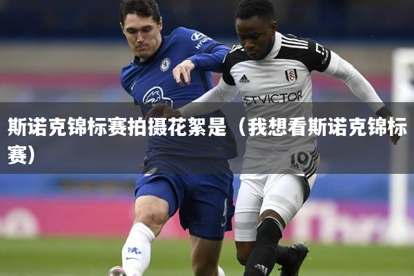 斯诺克锦标赛拍摄花絮是(我想看斯诺克锦标赛)