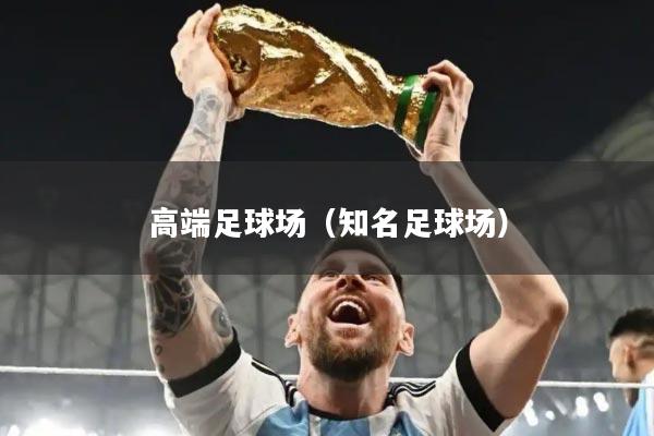 高端足球场（知名足球场）
